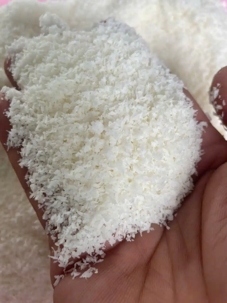 DESICCATED COCONUT - Phuoc Linh Coconut