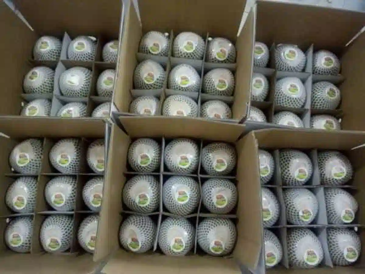 FRESH COCONUT - Phuoc Linh Coconut